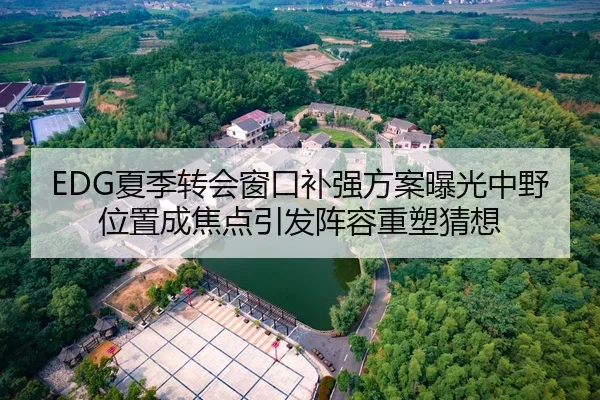 EDG夏季转会窗口补强方案曝光中野位置成焦点引发阵容重塑猜想