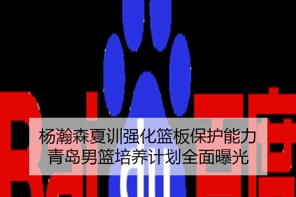 杨瀚森夏训强化篮板保护能力 青岛男篮培养计划全面曝光
